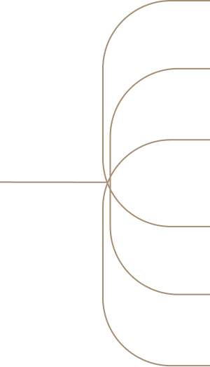 Veritas_Trusts Page_Decorative_1